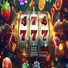 5566bet