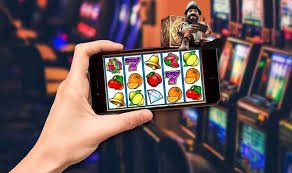5566bet