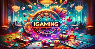 5566bet